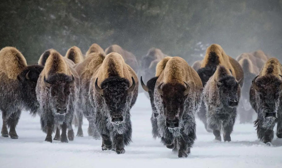 北京盛思克安防科技有限公司轮播图1